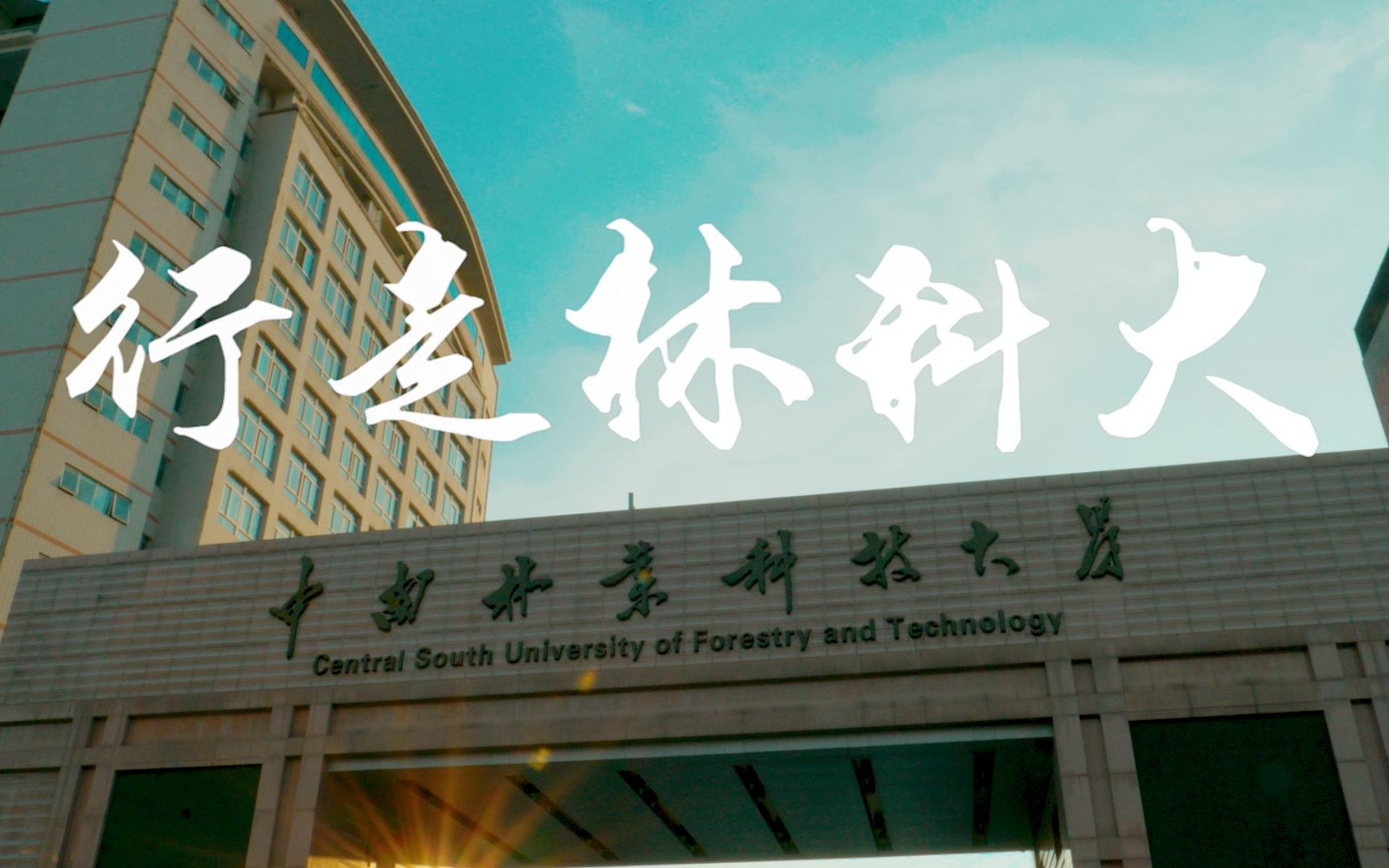 中南林業科技大學錄取